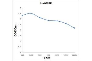 Antigen: 0. (DEDD antibody  (AA 151-250))