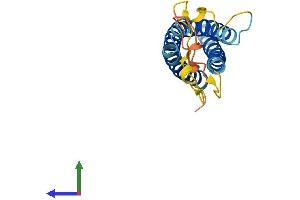 AlphaFold protein structure predicition of Mouse Recombinant Nkain3 Protein, UniprotID Q3URJ8 (Na+/K+ Transporting ATPase Interacting 3 (NKAIN3) (AA 1-181) protein (His tag))
