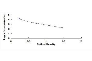 Typical standard curve (AMH ELISA Kit)