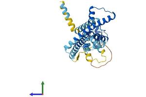 AlphaFold protein structure predicition of Human Recombinant CALHM2 Protein, UniprotID Q9HA72 (CALHM2 Protein (AA 1-323) (His tag))