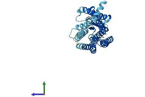 AlphaFold protein structure predicition of Human Recombinant OR56A4 Protein, UniprotID Q8NGH8 (OR56A4 Protein (AA 1-313) (His tag))