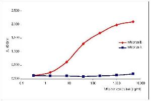 Titration curve of ABIN235671 specific to NP of Influenza B virus in indirect ELISA.
