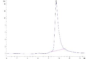 Size-exclusion chromatography-High Pressure Liquid Chromatography (SEC-HPLC) image for Adenomatosis Polyposis Coli Down-Regulated 1 (APCDD1) (AA 27-492) protein (His tag) (ABIN7273852)