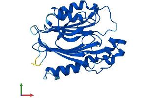 Protein Structure (PS) image for Chromosome 22 Open Reading Frame 25 (C22orf25) (AA 1-276) protein (His tag) (ABIN7544612)
