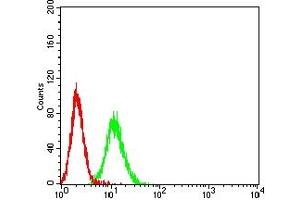 Flow cytometric analysis of K562 cells using PSG1 mouse mAb (green) and negative control (red). (PSG1 antibody  (AA 250-419))