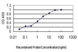 Detection limit for recombinant GST tagged CAPS is approximately 0. (Calcyphosine antibody  (AA 1-109))
