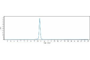 The purity of Anti-BACE1 Reference Antibody (Genentech anti-BACE1) is more than 95 % , determined by SEC-HPLC. (Recombinant BACE1 antibody)