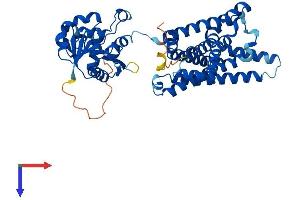 STEAP3 Protein (AA 1-488) (His tag)