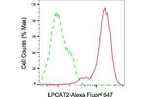 Flow cytometric analysis of LPCAT2 expression in HeLa cells using LPCAT2 antibody (ABIN7799306), 1:2,000).