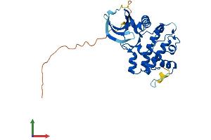 AlphaFold protein structure predicition of Human Recombinant PRKY Protein, UniprotID O43930 (PRKY Protein (AA 1-277) (His tag))