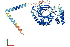 AlphaFold protein structure predicition of Mouse Recombinant Asphd2 Protein, UniprotID Q80VP9