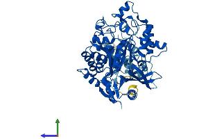 Protein Structure (PS) image for Elongator complex protein 3 (ELP3) (AA 1-547) protein (His tag) (ABIN7553833)