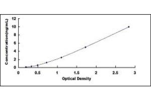 Typical standard curve (DNMT3A ELISA Kit)