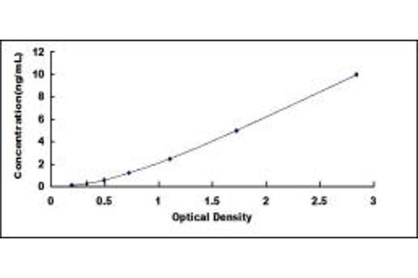 DNMT3A ELISA Kit