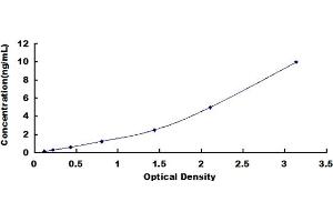 Typical standard curve (STAT1 ELISA Kit)