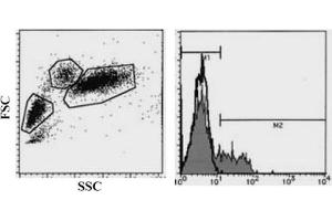 Flow Cytometry (FACS) image for anti-Killer Cell Lectin-Like Receptor Subfamily B, Member 1 (KLRB1) antibody (FITC) (ABIN487477) (CD161 antibody  (FITC))