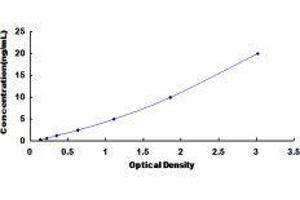 Ribonucleotide Reductase M1 (RRM1) ELISA Kit