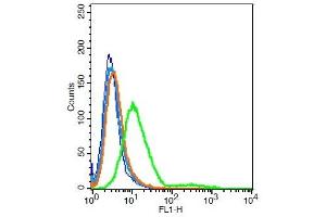 Rat H9C2 cells probed with Rabbit Anti-GALR2 Polyclonal Antibody, Unconjugated  at 6ug for 30 minutes followed by incubation with a conjugated secondary -FITC) (green) for 30 minutes compared to control cells (blue), secondary only (light blue) and isotype control (orange). (GALR2 antibody  (AA 51-150))