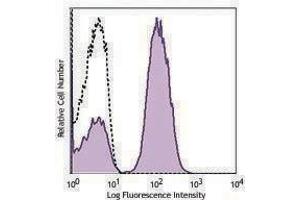 Flow Cytometry (FACS) image for Rat anti-Mouse Ig (Light Chain) antibody (ABIN2667273) (Rat anti-Mouse Ig (Light Chain) Antibody)