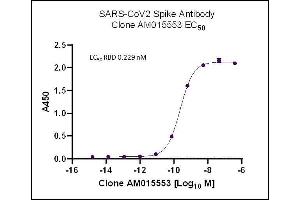 AbFlex SARS-CoV-2 Spike Antibody (rAb) (AM015553) tested by ELISA using SARS Spike protein RBD. (Recombinant SARS-CoV-2 Spike antibody)