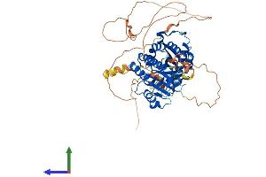 AlphaFold protein structure predicition of Mouse Recombinant Pip5k1b Protein, UniprotID P70181 (PIP5K1B Protein (AA 1-539) (His tag))