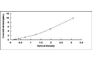 Typical standard curve (Beclin 1 ELISA Kit)