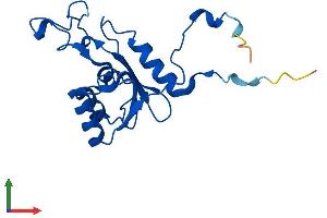AlphaFold protein structure predicition of Human Recombinant DCTD Protein, UniprotID P32321