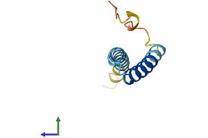 Protein Structure (PS) image for Synovial Sarcoma Translocation Gene On Chromosome 18-Like 2 (SS18L2) (AA 1-77) protein (Fc Tag) (ABIN7560871)