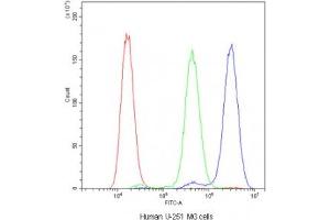 Flow cytometry testing of human U-251 MG cells with ADO antibody at 1ug/10^6 cells (blocked with goat sera) (ADO antibody)