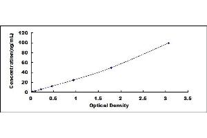 Typical standard curve (HEXB ELISA Kit)