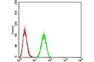 Flow cytometric analysis of A549 cells using BMP2 mouse mAb (green) and negative control (red). (BMP2 antibody  (AA 283-396))