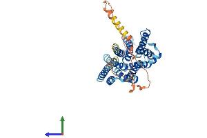 AlphaFold protein structure predicition of Human Recombinant SLC35D3 Protein, UniprotID Q5M8T2 (SLC35D3 Protein (AA 1-416) (His tag))