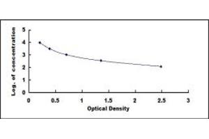 Typical standard curve (Kallikrein 1 ELISA Kit)