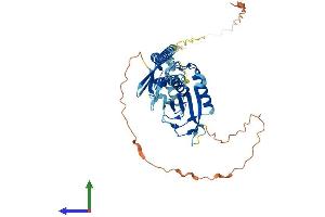 AlphaFold protein structure predicition of Human Recombinant SLFNL1 Protein, UniprotID Q499Z3