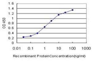 Detection limit for recombinant GST tagged ABL2 is approximately 0. (ABL2 antibody  (AA 743-842))