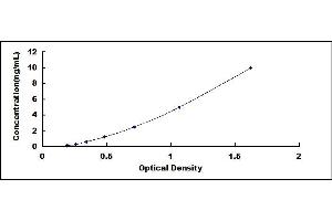 Typical standard curve (BIRC7 ELISA Kit)