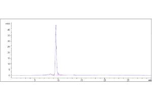 The purity of Anti-IL-18 Reference Antibody (GSK 1070806) is more than 95 % , determined by SEC-HPLC.
