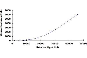 ELISA image for Pro-Brain Natriuretic Peptide (NT-ProBNP) (NT-ProBNP) CLIA Kit (ABIN492015)