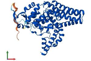 AlphaFold protein structure predicition of Human Recombinant FADS3 Protein, UniprotID Q9Y5Q0 (FADS3 Protein (AA 1-445) (His tag))