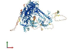 AlphaFold protein structure predicition of Human Recombinant POLG Protein, UniprotID P54098 (POLG Protein (AA 1-1239) (His tag))