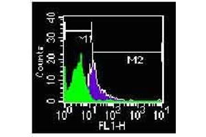 Image no. 1 for anti-Toll-Like Receptor 4 (TLR4) antibody (ABIN208040) (TLR4 antibody)