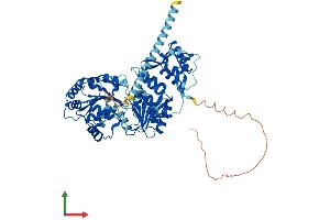 Protein Structure (PS) image for RecQ Protein-Like (DNA Helicase Q1-Like) (RECQL) (AA 1-648) protein (His tag) (ABIN7556371)