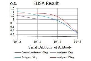 Black line: Control Antigen (100 ng), Purple line: Antigen(10 ng), Blue line: Antigen (50 ng), Red line: Antigen (100 ng), (YAP1 antibody)