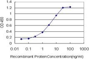Detection limit for recombinant GST tagged FOXA2 is approximately 0. (FOXA2 antibody  (AA 363-457))