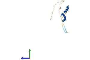 AlphaFold protein structure predicition of Human Recombinant KRT17 Protein, UniprotID Q04695 (KRT17 Protein (AA 1-432) (His tag))