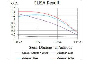 Red: Control Antigen (100ng) ; Purple: Antigen (10ng) ; Green: Antigen (50ng) ; Blue: Antigen (100ng). (IGF2 antibody  (AA 25-180))