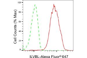 Flow cytometric analysis of ILVBL expression in HepG2 cells using ILVBL antibody (ABIN7799022), 1:2,000). (ILVBL antibody)