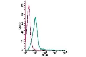 Cell surface detection of GPR35 by indirect flow cytometry in live intact mouse BV-2 microglia cell line: (black line) Cells. (GPR35 antibody  (Extracellular))