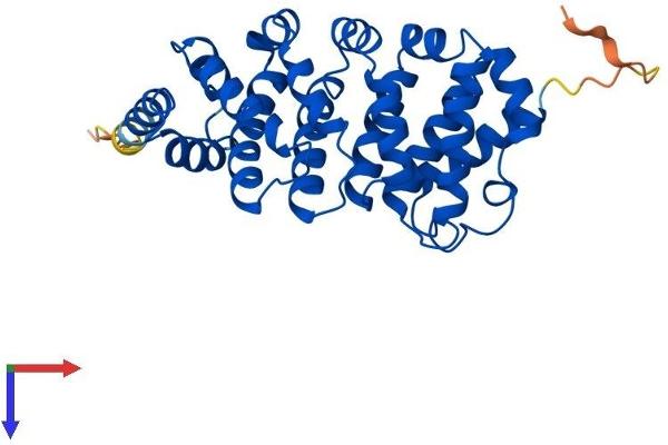 RQCD1 Protein (AA 1-299) (His tag)