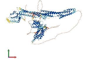 AlphaFold protein structure predicition of Human Recombinant MCF2L Protein, UniprotID O15068